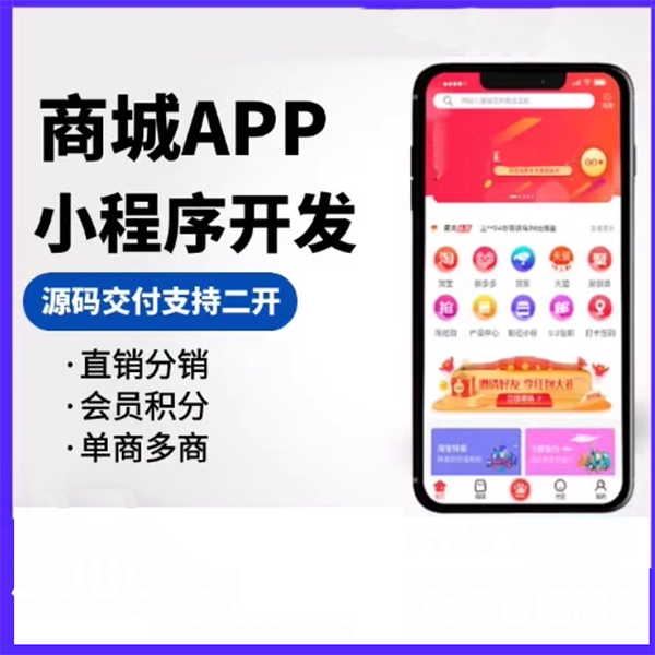 多用戶b2c商城店鋪系統(tǒng)軟件開發(fā)